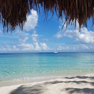 Meet your Posher, Sheryl